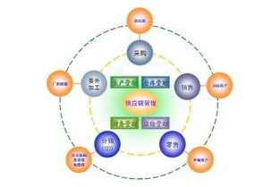 工厂企业建立高效的供应链管理必须掌握的三大要点